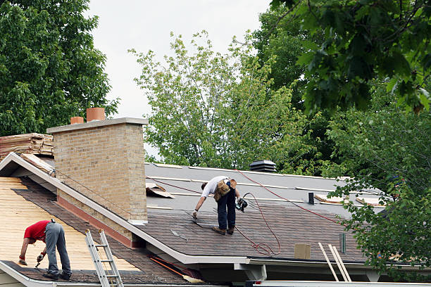 Best Green or Eco-Friendly Roofing Solutions  in De Witt, NY